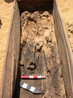 集団埋葬の木棺