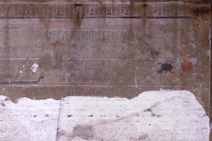 アメンヘテプ3世王墓・J室壁画「アムドゥアト書」保存修復前