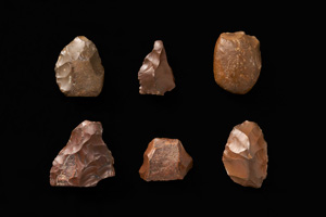 中期・後期の旧石器群